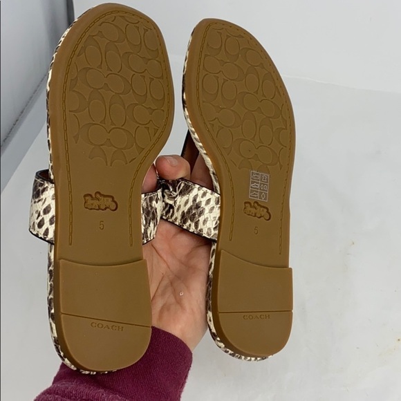 Coach Sz 5B Snake Embossed Leather Flat Sandals - Picture 5 of 5